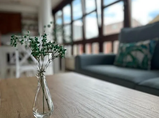 Daire O Xaneiro Noia